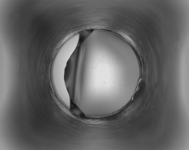 X0000083600389200703091746