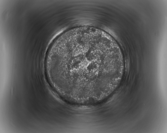 X0000083600390200703091745