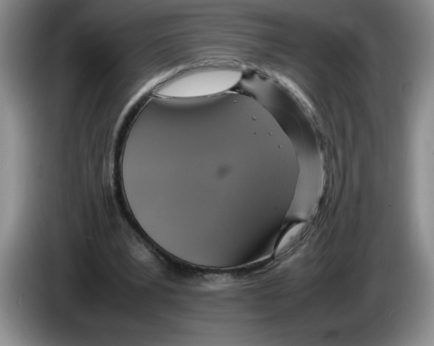 X0000083600391200703091745