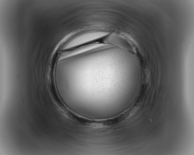 X0000083600392200703091745