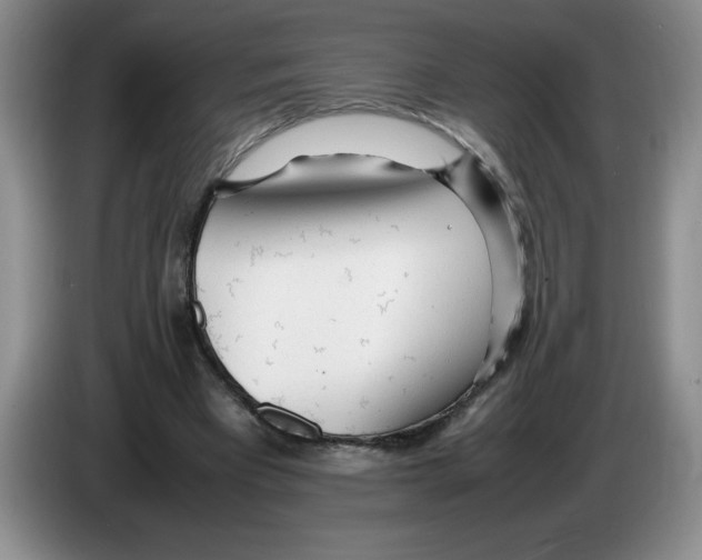 X0000083600393200703091745