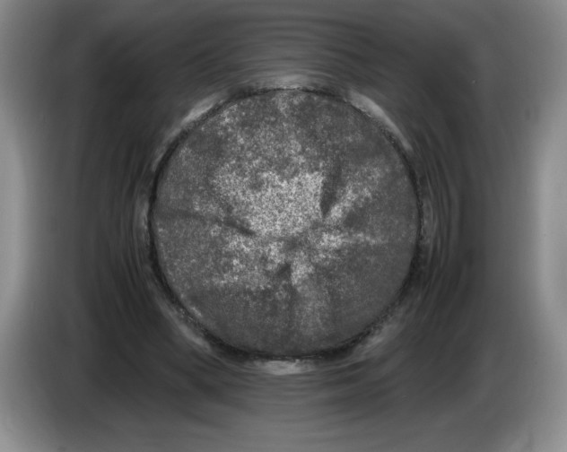 X0000083600394200703091745