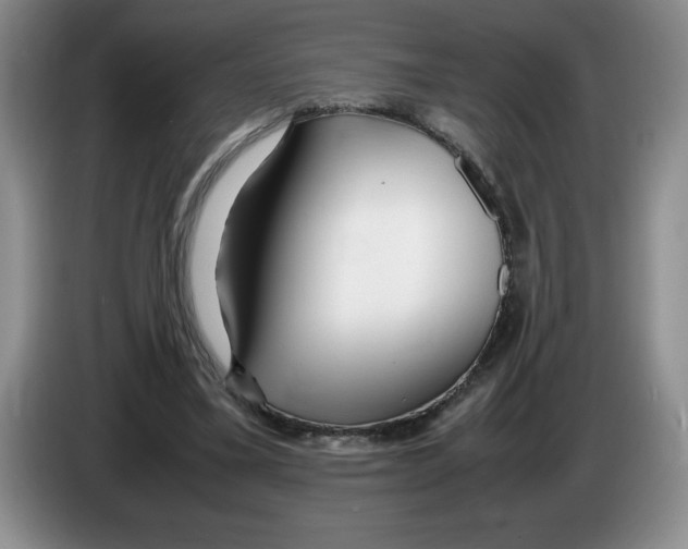 X0000083600395200703091745