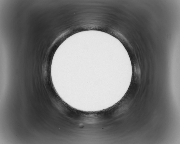 X0000083600396200703091745