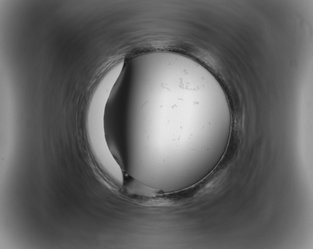 X0000083600397200703091745