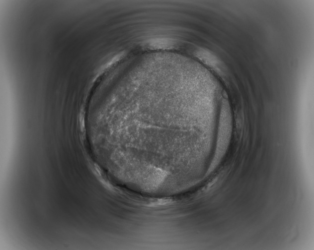 X0000083600398200703091745