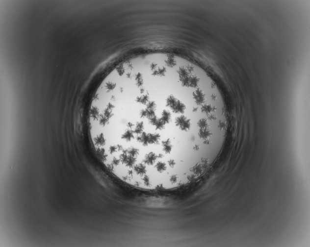 X0000083600400200703091745