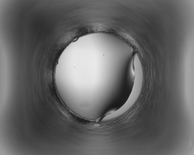 X0000083600401200703091745