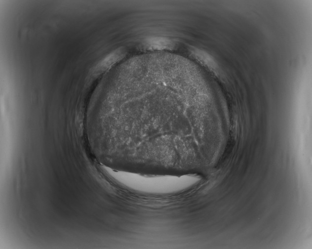 X0000083600402200703091745