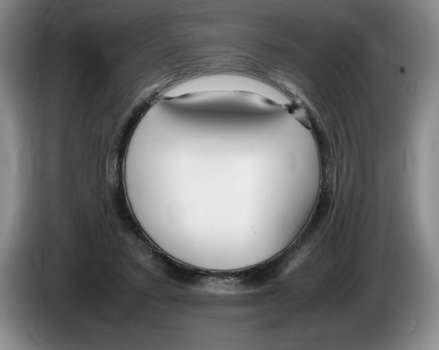 X0000083600403200703091745