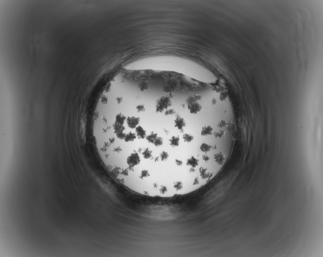 X0000083600404200703091745