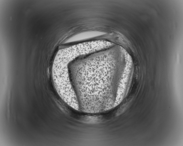 X0000083600405200703091745