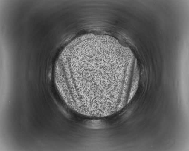 X0000083600406200703091745