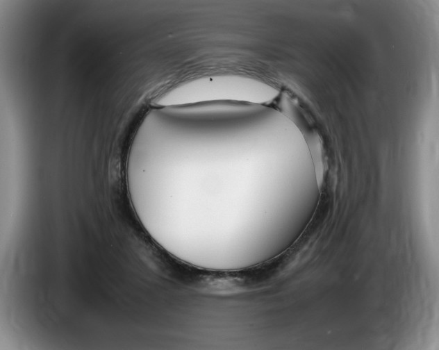 X0000083600407200703091745