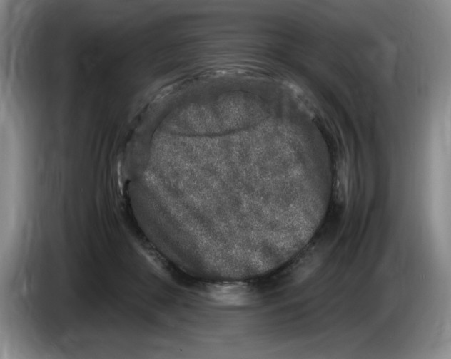 X0000083600410200703091745