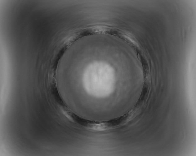 X0000083600411200703091745