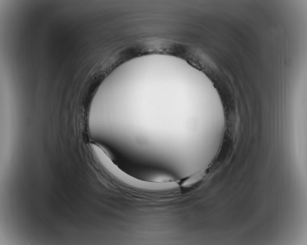 X0000083600413200703091745