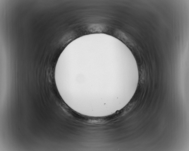 X0000083600414200703091745