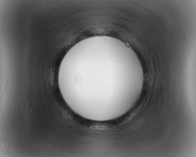 X0000083600416200703091745