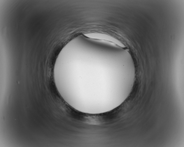 X0000083600417200703091745