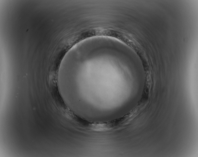 X0000083600419200703091745