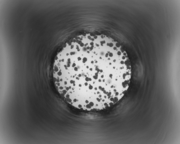 X0000083600420200703091745