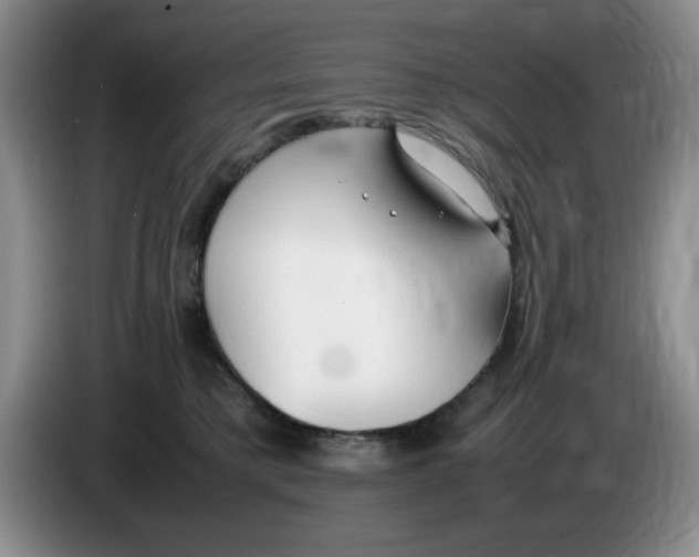 X0000083600421200703091745