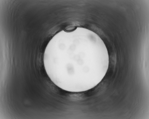 X0000083600422200703091745