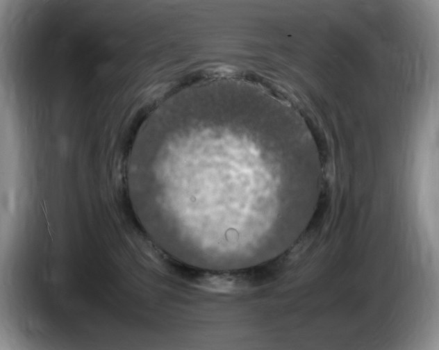 X0000083600423200703091745