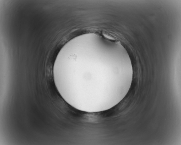 X0000083600425200703091745