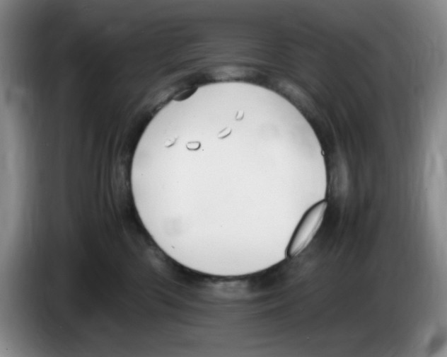 X0000083600426200703091745