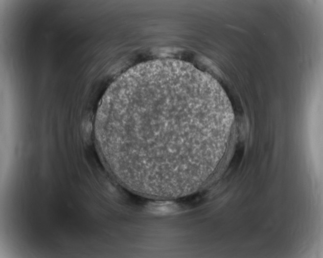 X0000083600427200703091745