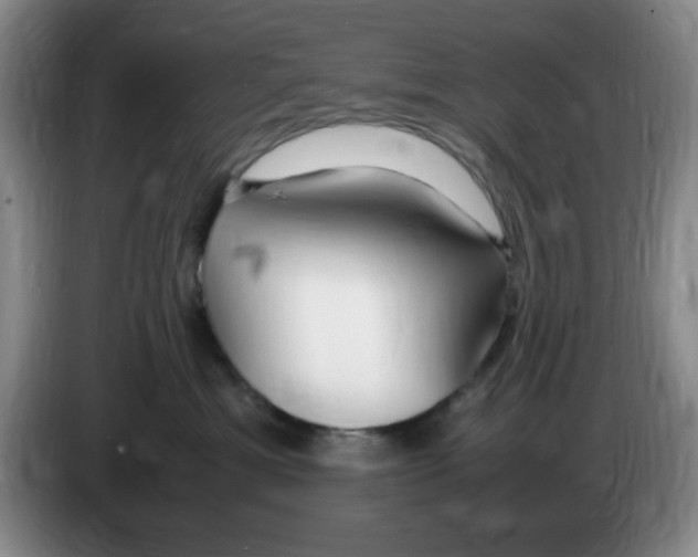 X0000083600429200703091745