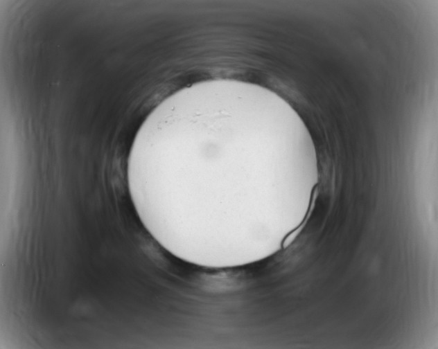 X0000083600430200703091745