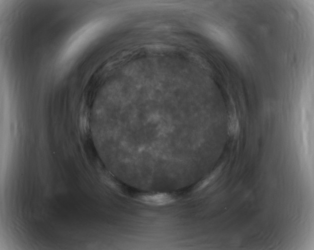 X0000083600431200703091745