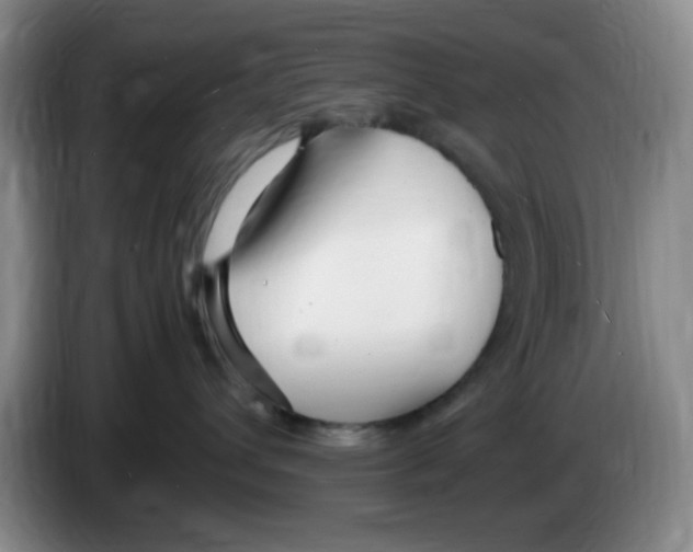 X0000083600432200703091745