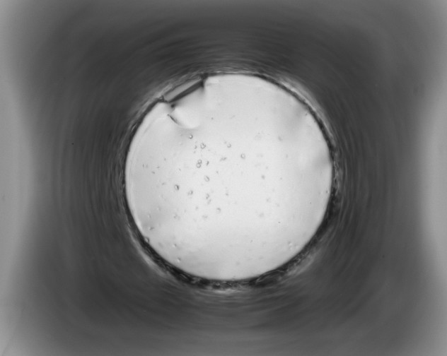 X0000083600433200703091744