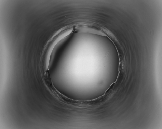 X0000083600436200703091744