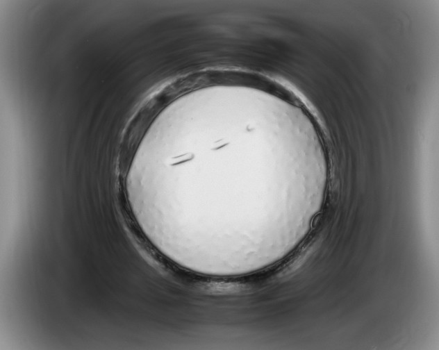 X0000083600437200703091744