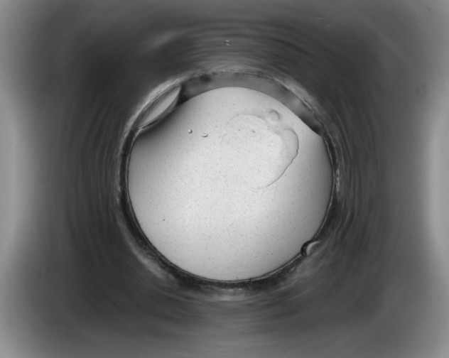 X0000083600438200703091744