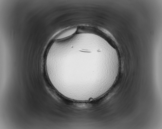 X0000083600439200703091744