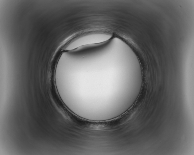 X0000083600440200703091744