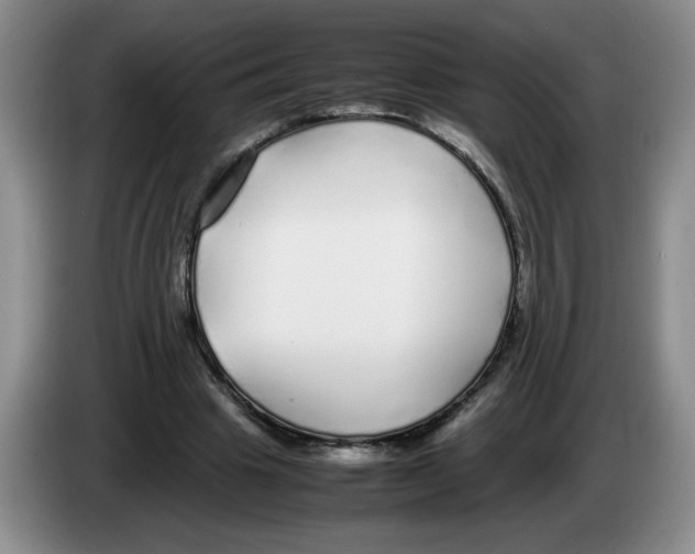 X0000083600441200703091744