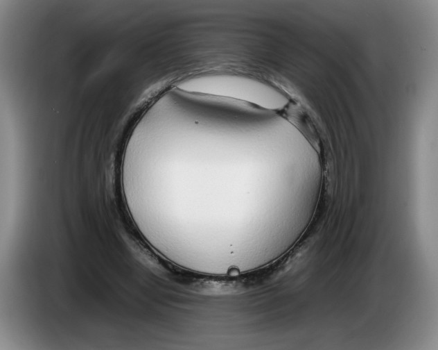 X0000083600442200703091744