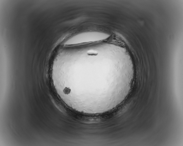 X0000083600443200703091744