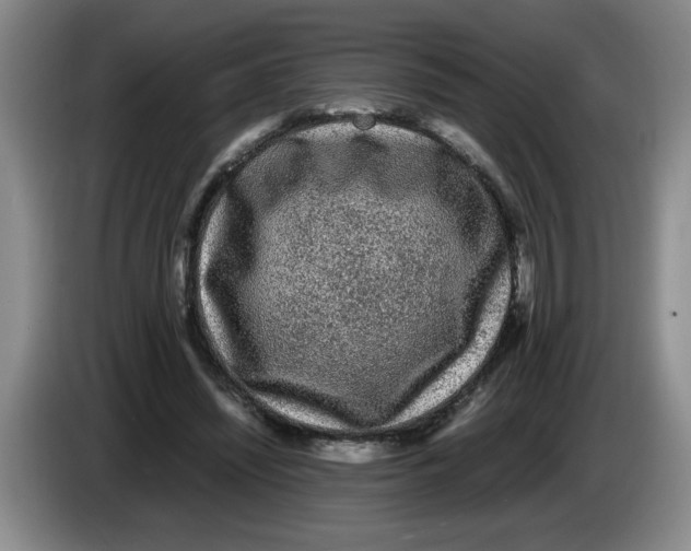 X0000083600444200703091744