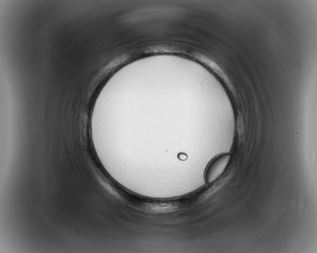 X0000083600445200703091744