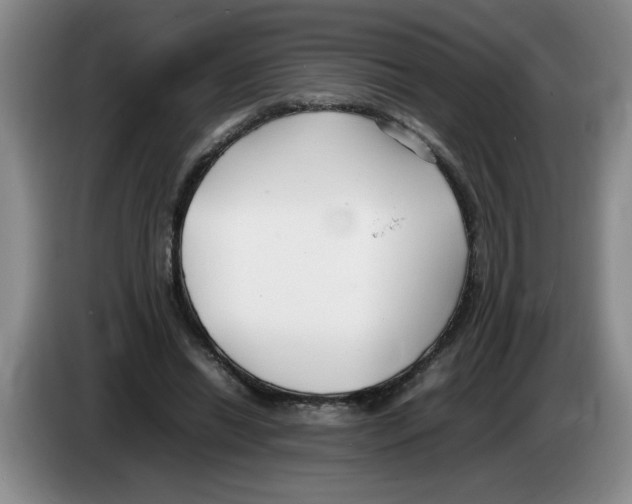 X0000083600446200703091744