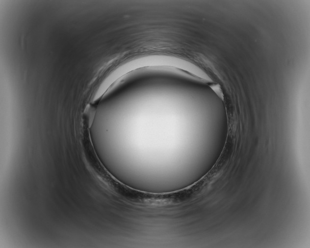 X0000083600448200703091744