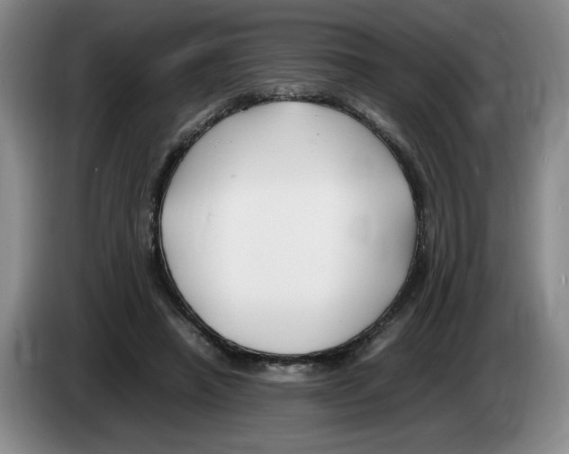 X0000083600450200703091745